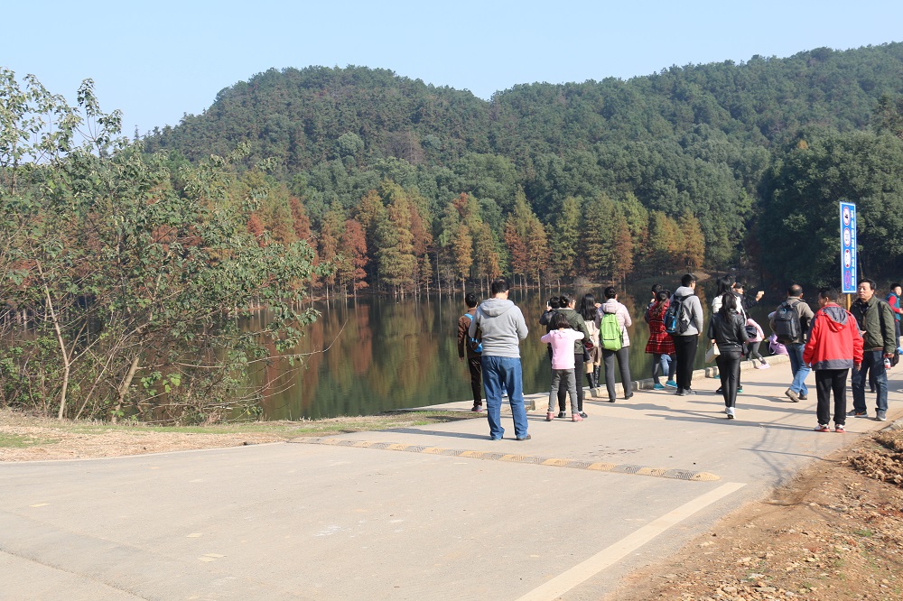 1480378948621163.jpg 健步走44.jpg